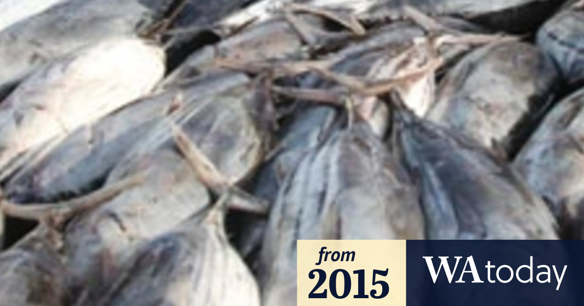 Suspected fish poisoning at Sydney cafe causes NSW Food